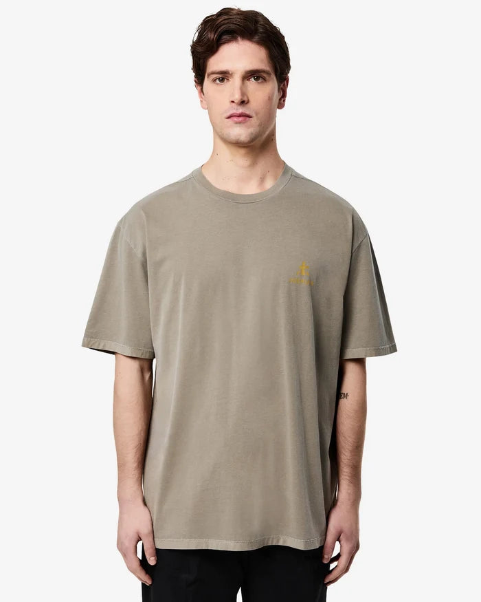 Cotton T-Shirt with Logo Grey