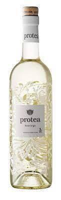 Protea Pinot Grigio 2023/24